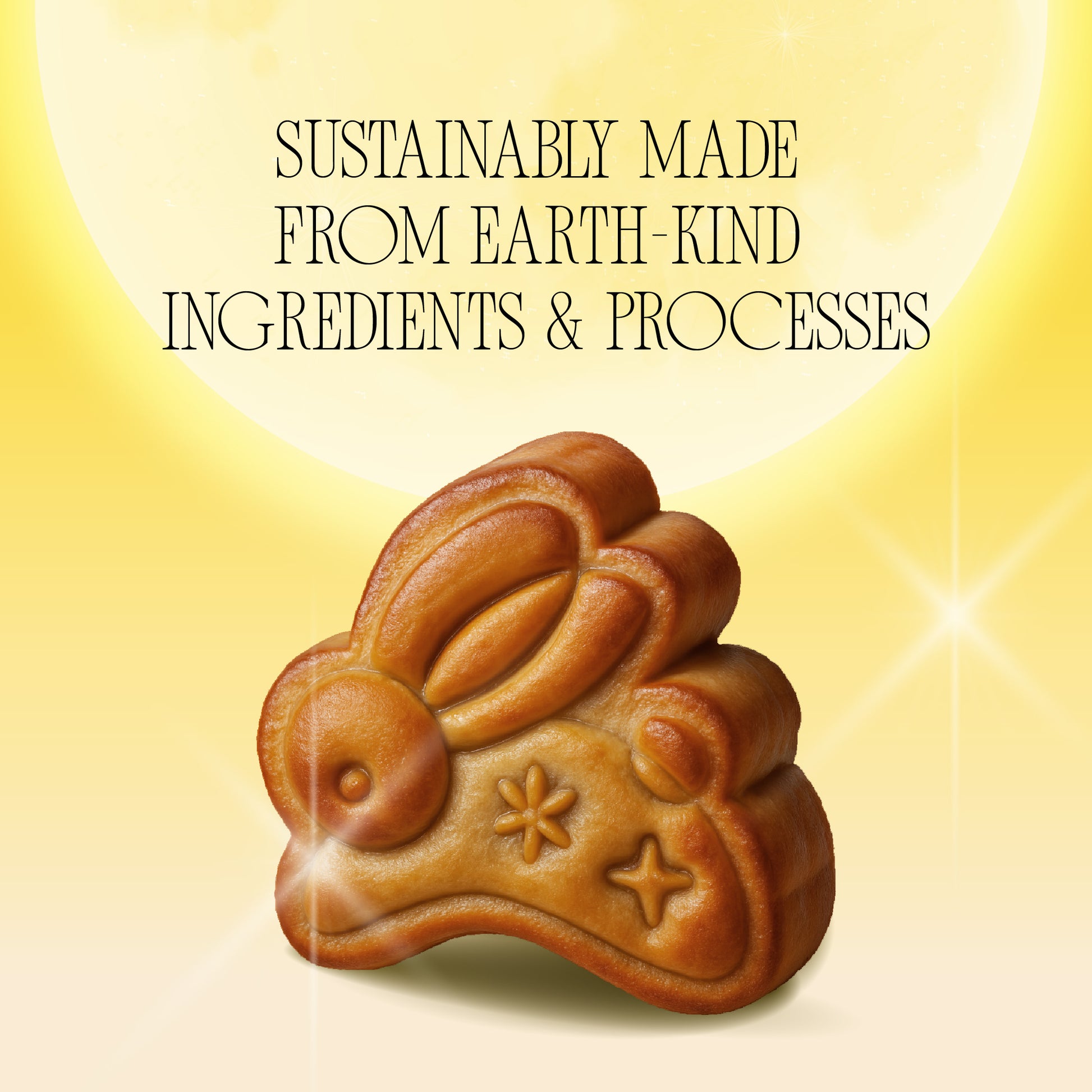 Blessings of the Cosmic Bunny (Box of 4)